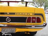 Mustang 74