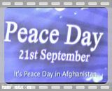 doves of peace. See more doves of peace videos