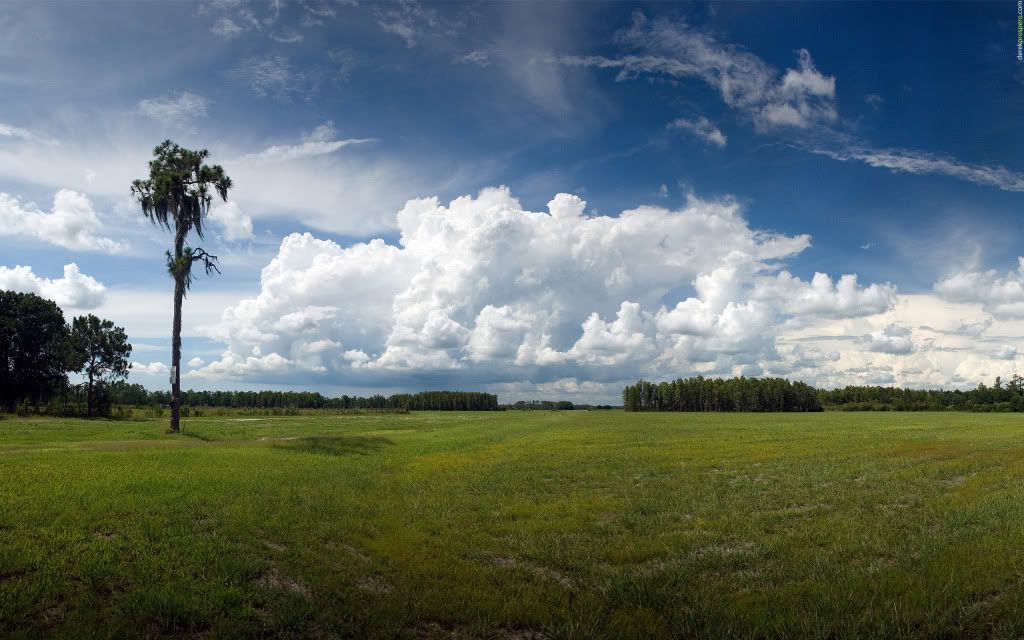 01335_aloneagainstthestorm_2560x160.jpg