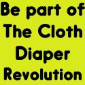 The Cloth Diaper Revolution