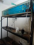 th_DSC00361.jpg