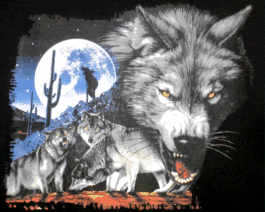 wolves photo: Wolves wolves_002.gif
