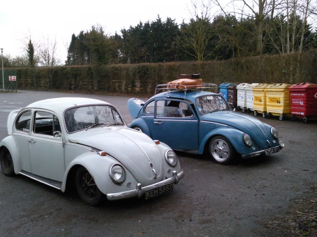 mexican rat bug now on silver brms nearly there