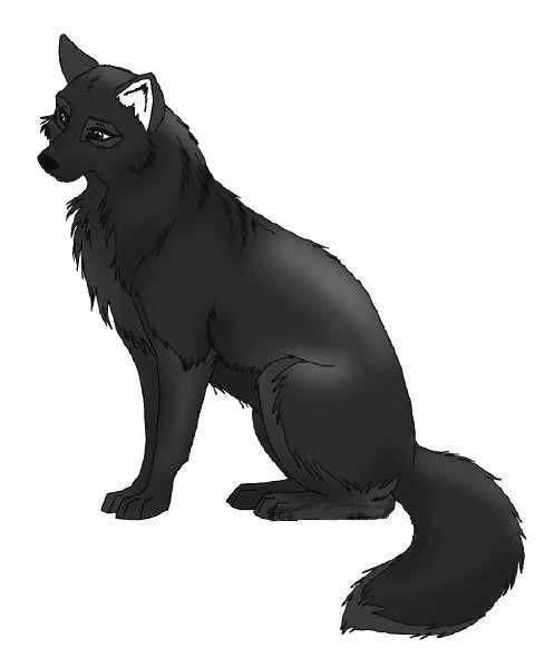 black anime wolf pup. I Had 2 Female Wolf Pups.