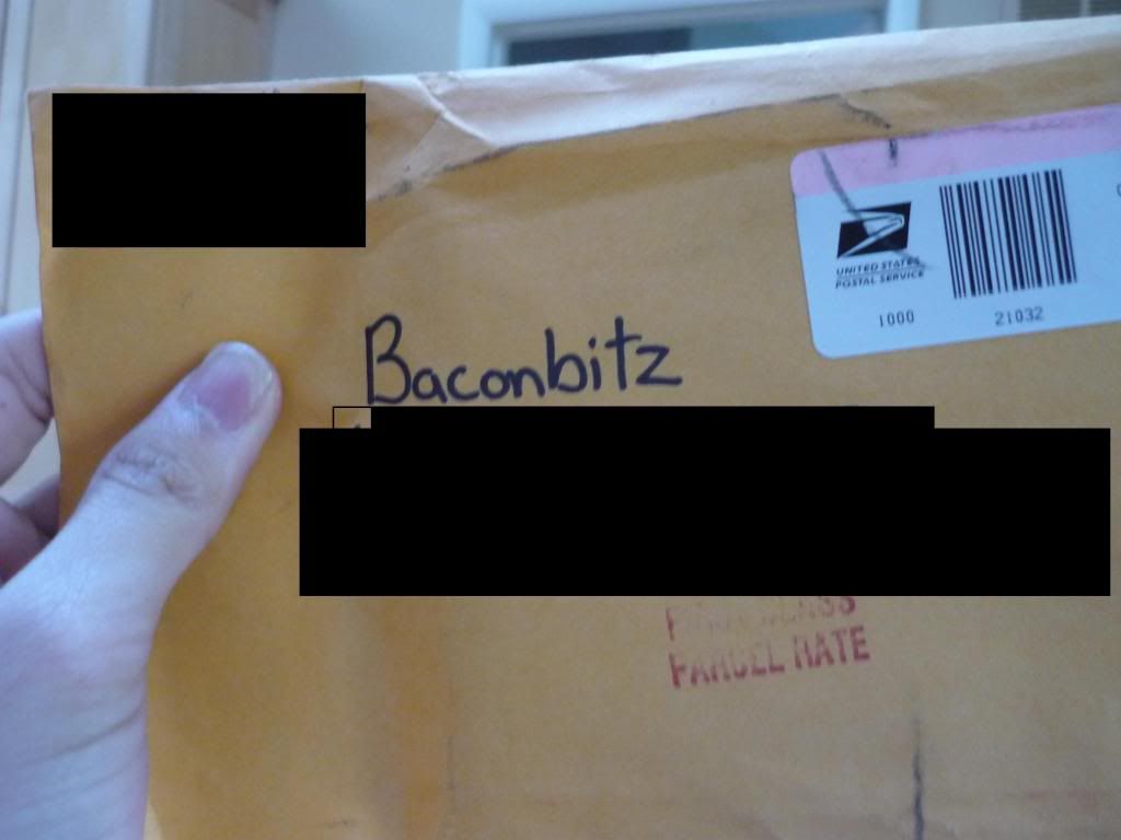 Baconbitz-1.jpg