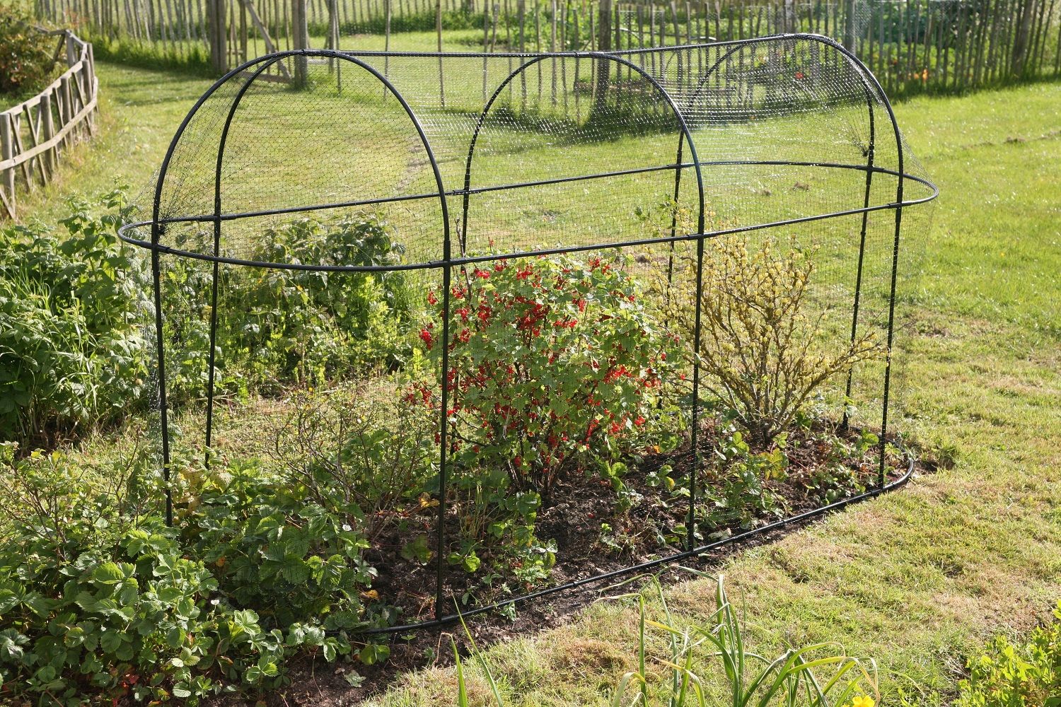 Haxnicks Long Steel Garden Fruit Cage Plants Protection