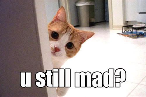 http://i925.photobucket.com/albums/ad94/mgandza/you_still_mad.jpg