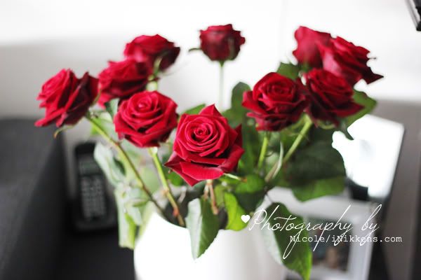 rozen rozen