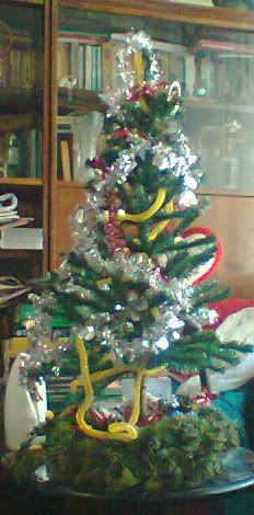 ourchristmastree.jpg