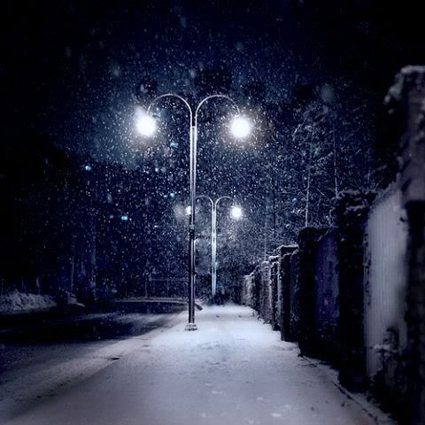 03des snow Pictures, Images and Photos