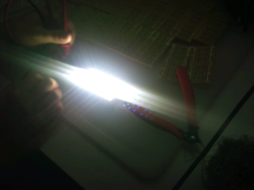 2011-03-01164905.jpg