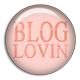 Blog Lovin