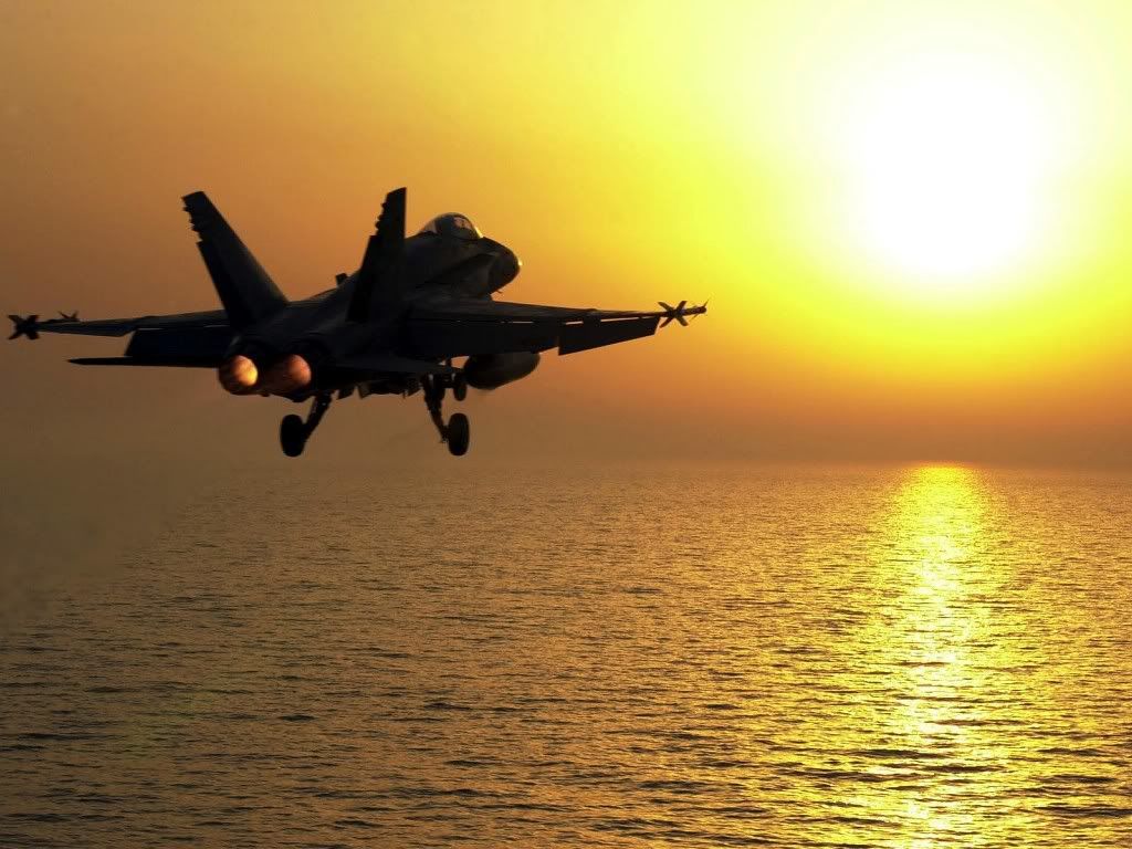 f18hornet17.jpg