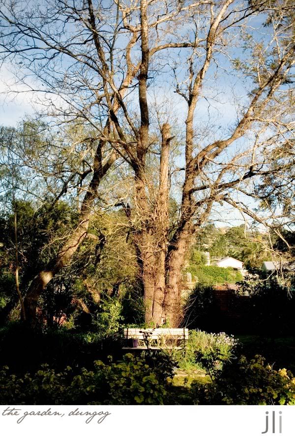 In the Garden