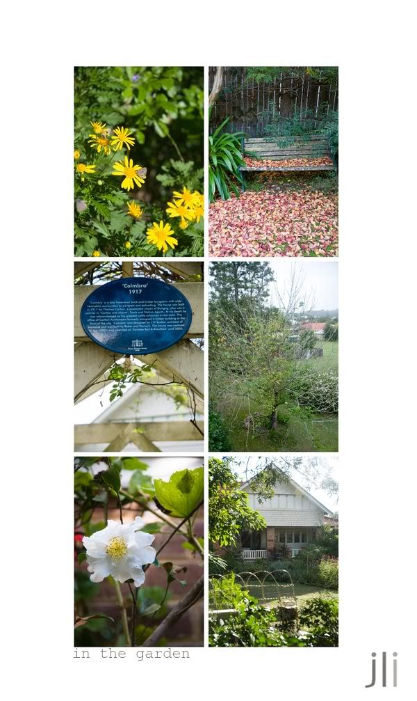dungog,in the garden,nsw,jillian leiboff imaging,sydney photographer,travel photography