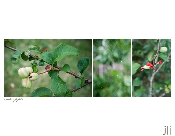 jillian leiboff imaging,sydney,dungog,coimbra,travel photography