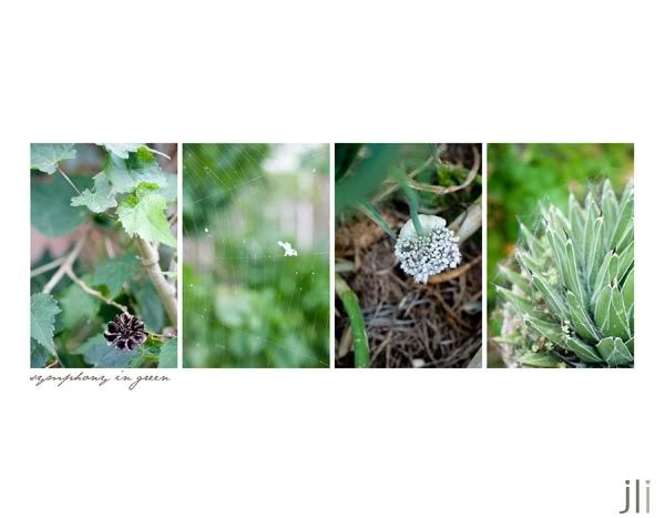 jillian leiboff imaging,sydney,dungog,coimbra,travel photography
