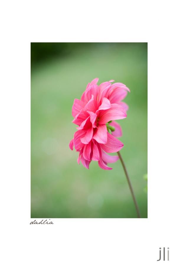jillian leiboff imaging,sydney,dungog,coimbra,travel photography