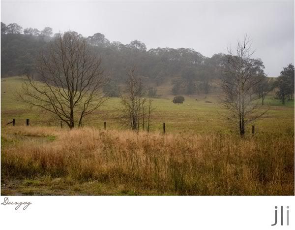 dungog august 2011