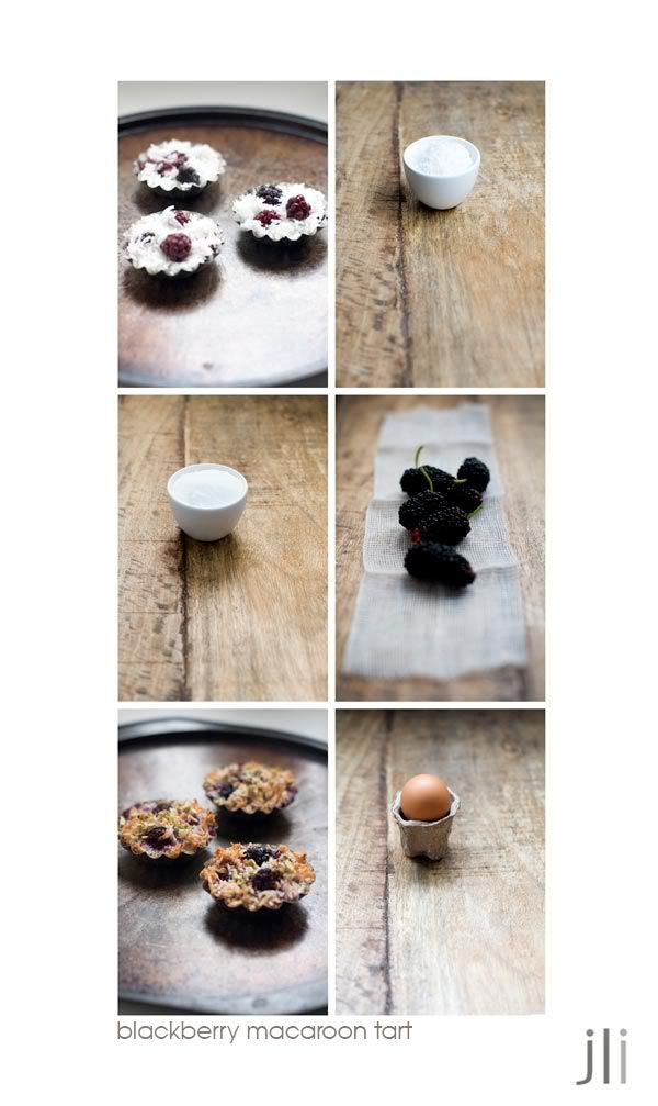 blackberry macaroon tart,heidi swanson,coconut,passover,sydney,food photography,jillian leiboff imaging