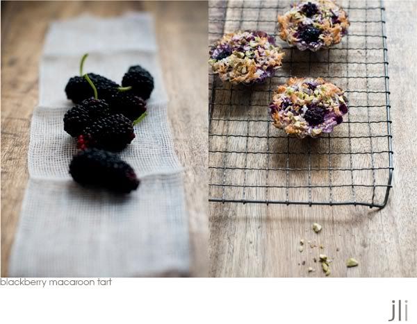 blackberry macaroon tart,heidi swanson,coconut,passover,sydney,food photography,jillian leiboff imaging