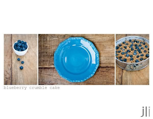 blueberry crumble cake