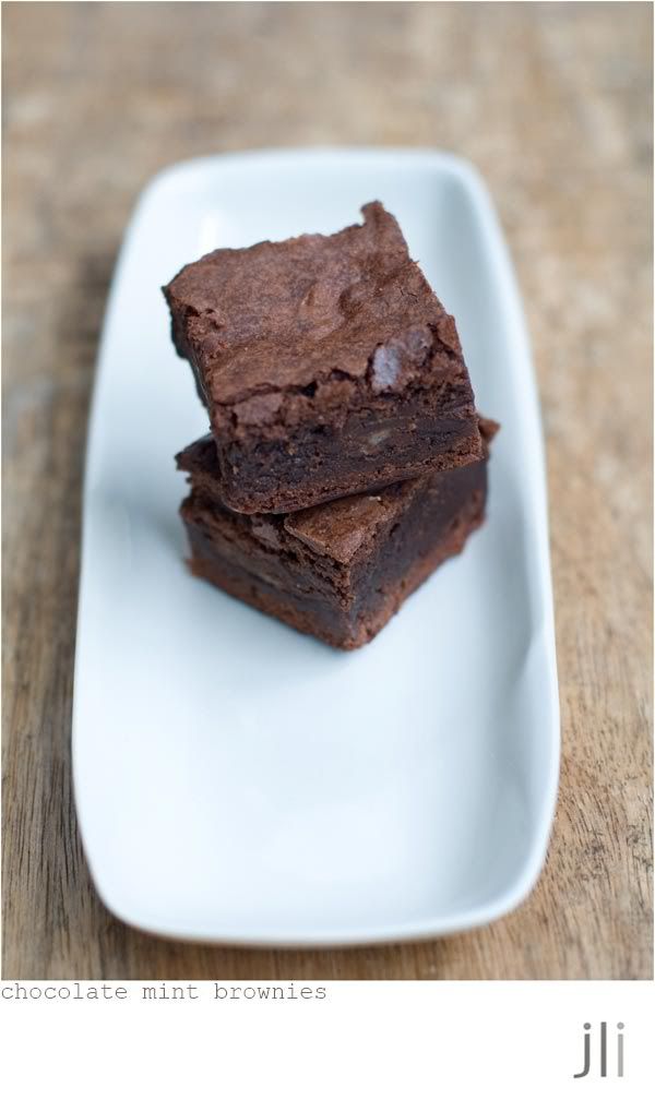 passover chocolate mint brownies / DELICIOUS BITES
