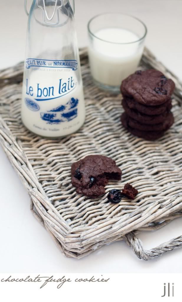 chocolate fudge cookies