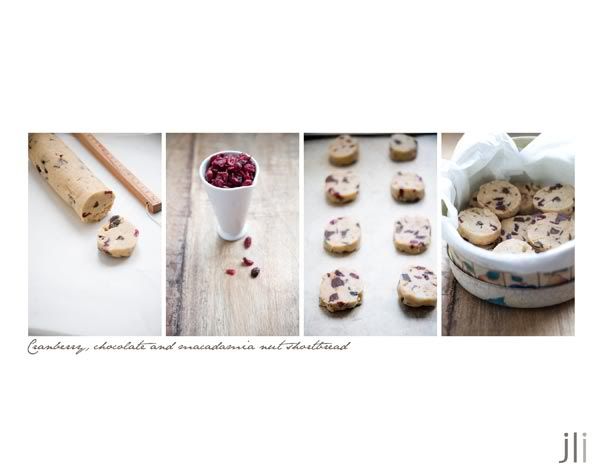 chocolate,cranberry,macadamia,shortbread. jillian leiboff imaging,sydney wedding and portrait photography,food photography,baking