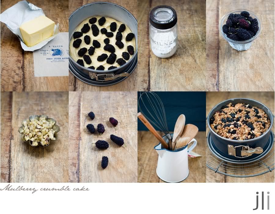 mulberry crumble cake