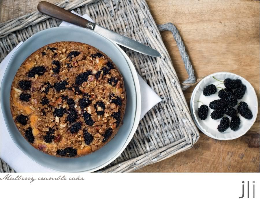 mulberry crumble cake