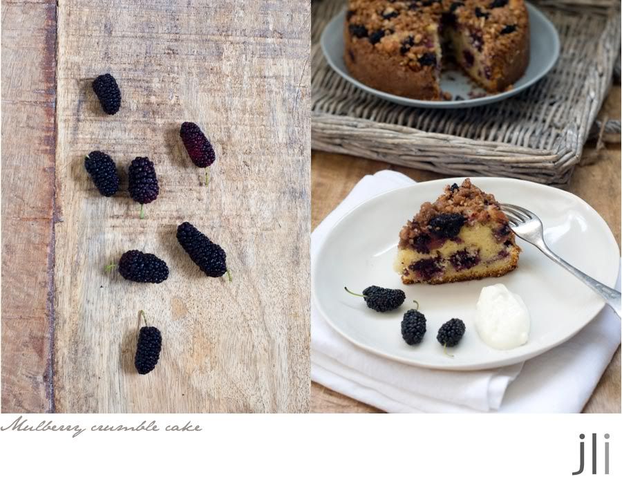 mulberry crumble cake