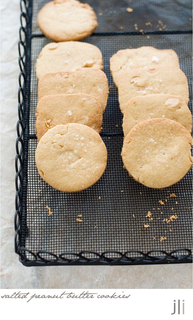 salted peanut butter cookies photo blog-3_zpsf9a4bbe2.jpg