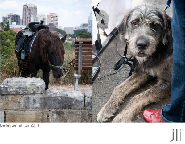 bellevue hill fair,jillian leiboff imaging,sydney photographer