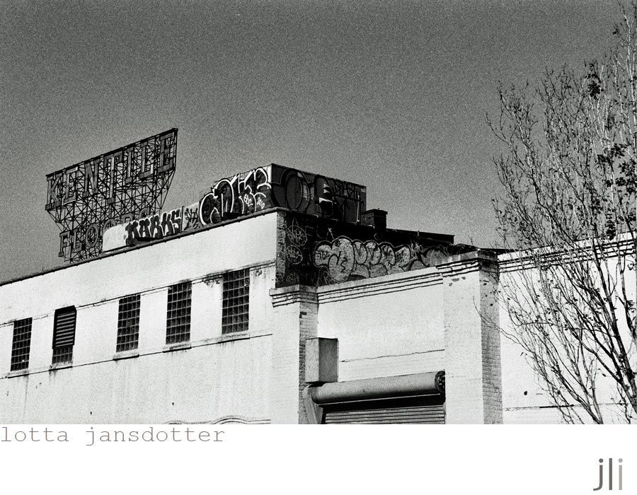 lotta jansdotter