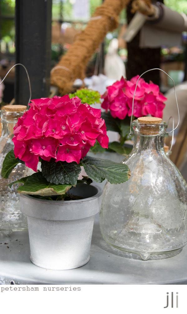 petersham nurseries
