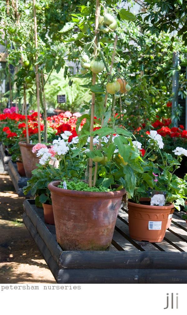 petersham nurseries