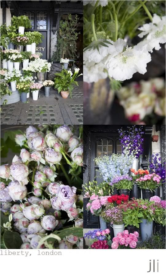 london,jillian leiboff imaging,travel 2011,travel photography,british museum,imperial war museum,the embankment gardens,liberty,kensington roof gardens,richmond,petersham nurseries,the east end,ottolenghi,somerset house