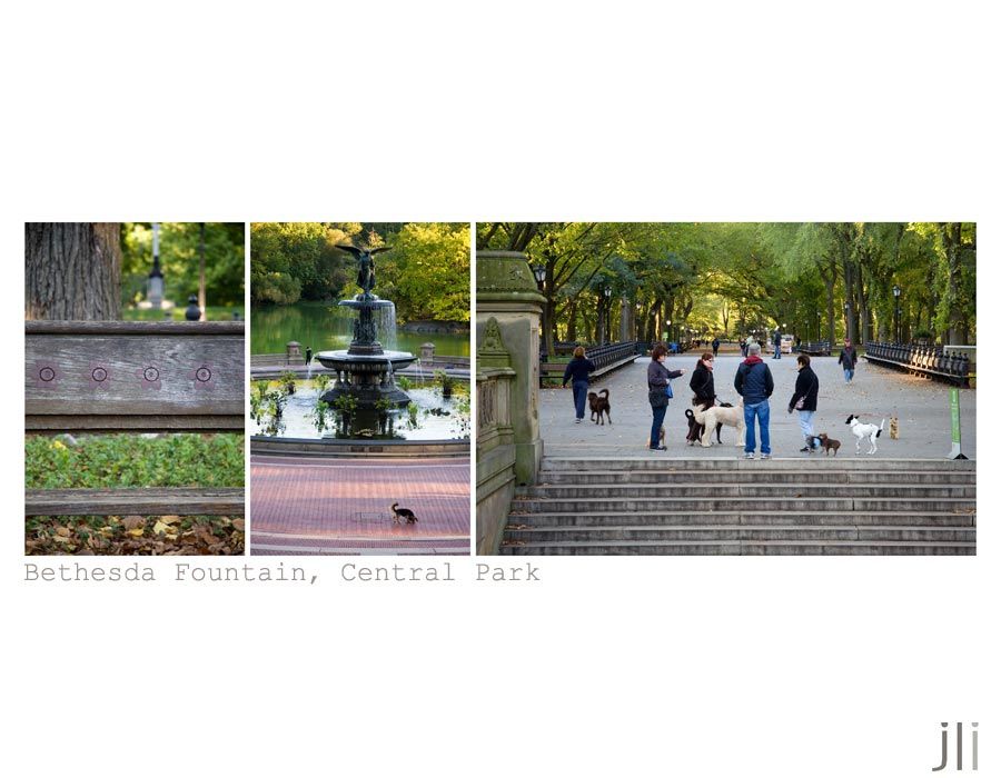 central park