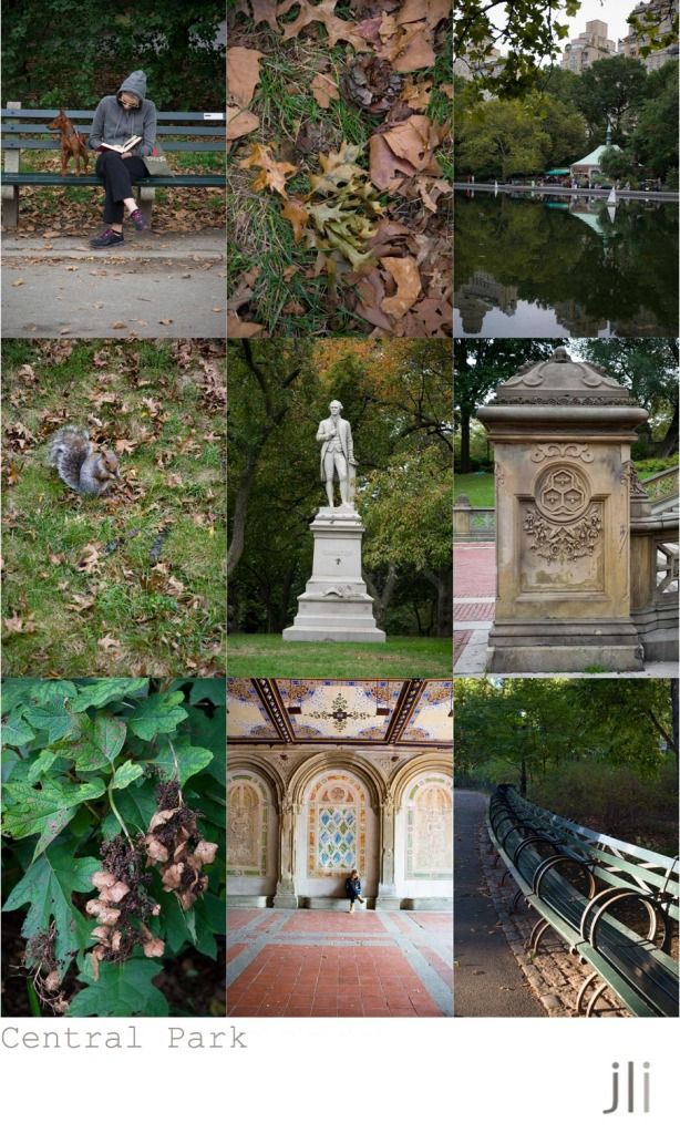 central park