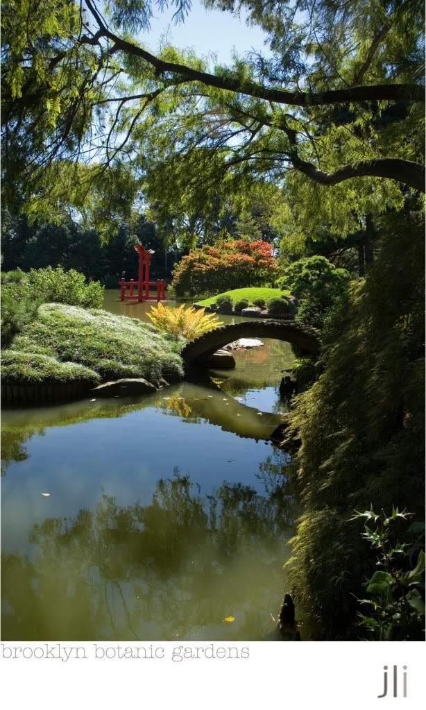 brooklyn botanic garden