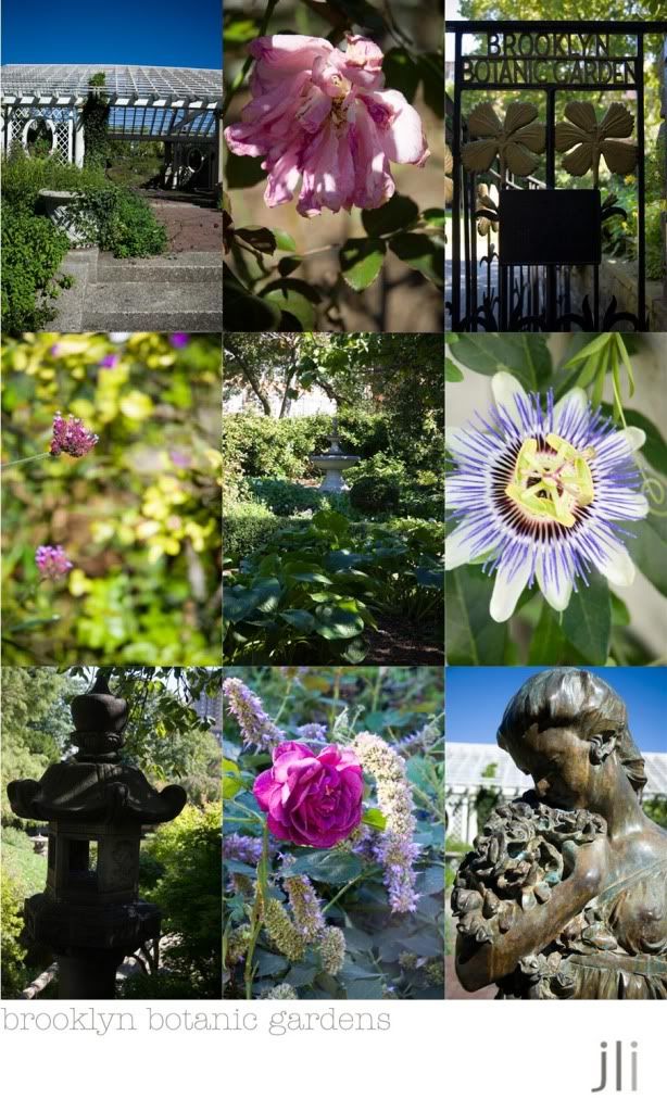 brooklyn botanic gardens