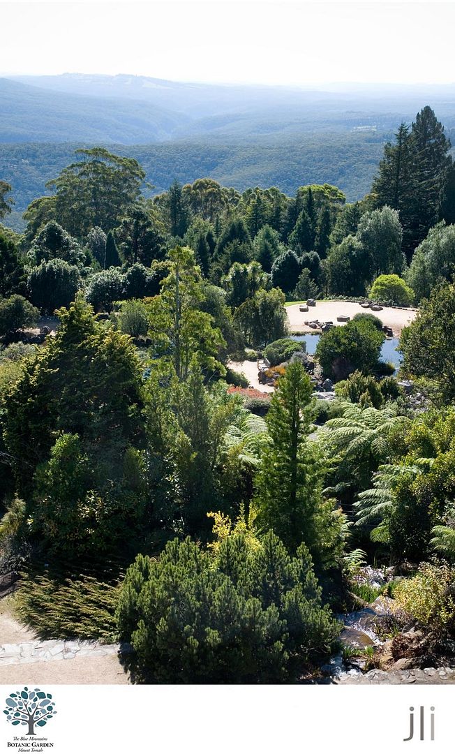 blue mountains botanic gardens photo blog-1_zps7d036ae4.jpg