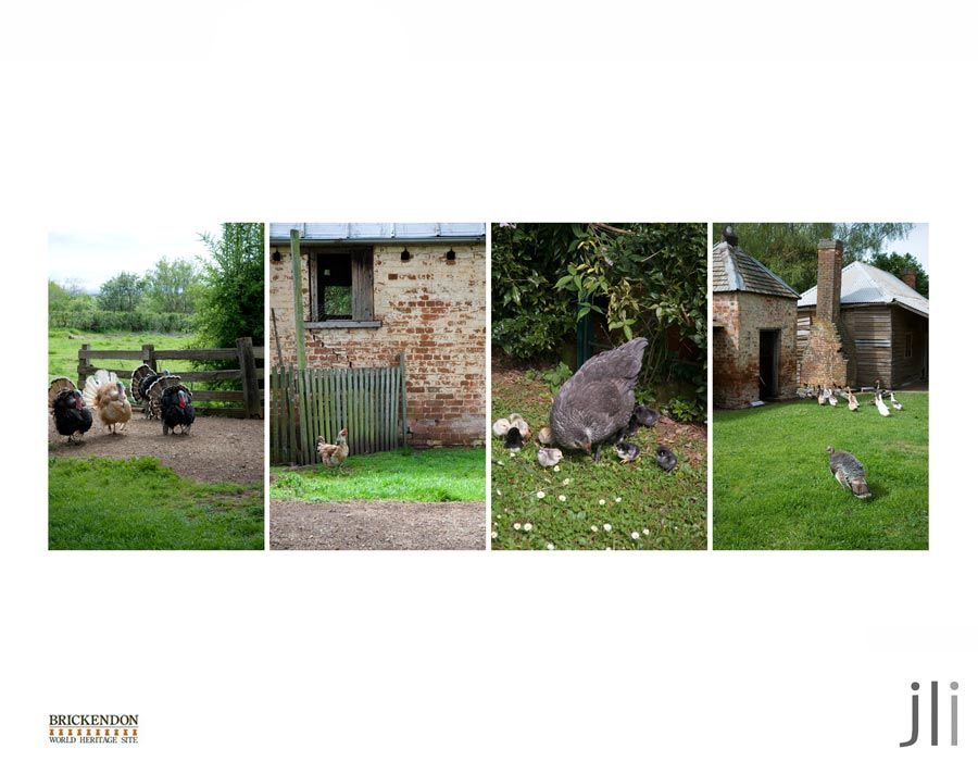 brickendon photo blog-12_zps734af6f4.jpg
