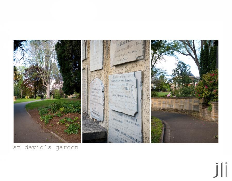 st david's garden photo blog-12_zps74fe7bd6.jpg