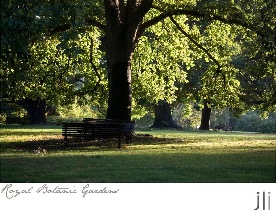 royal botanic gardens melbourne