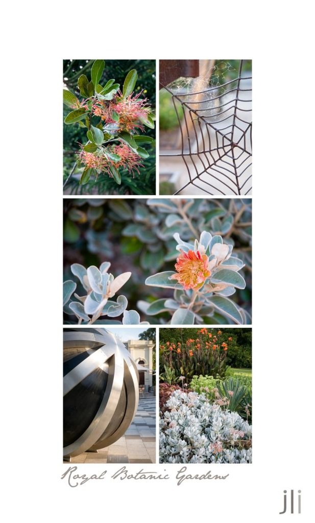 royal botanic gardens melbourne