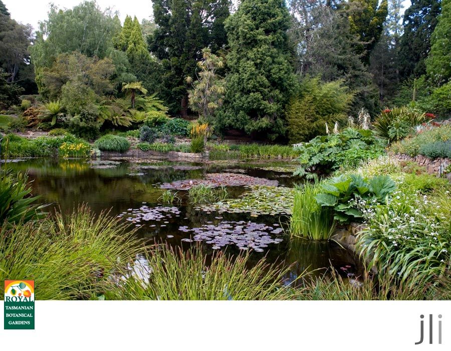 royal tasmanian botanic gardens photo blog-23_zps70c1982b.jpg