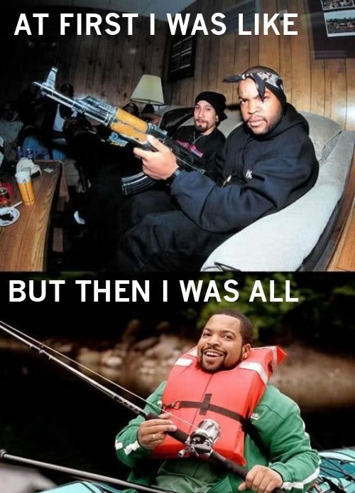 ice-cube-then-now.jpg