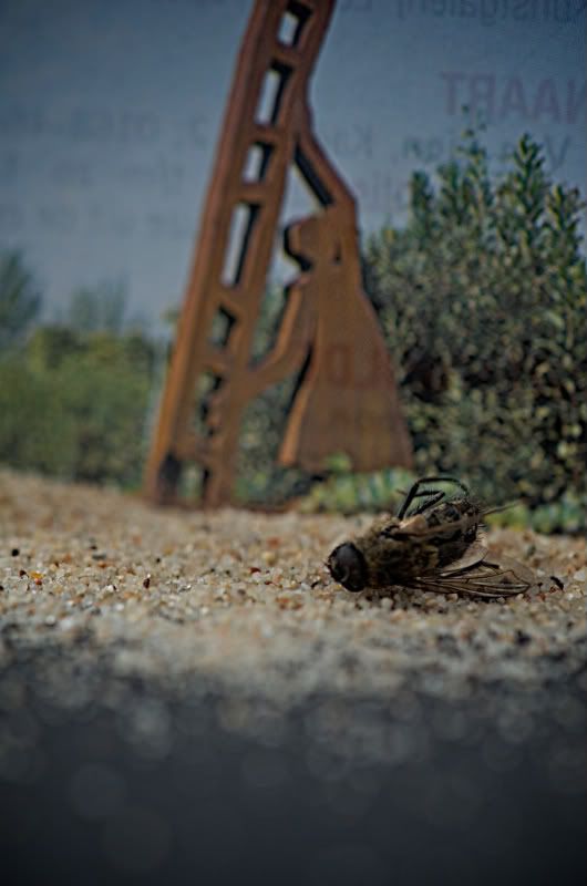 Fotografie
